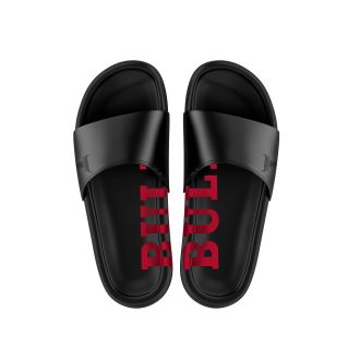 Slides M Bulls