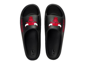 Slides M Bulls