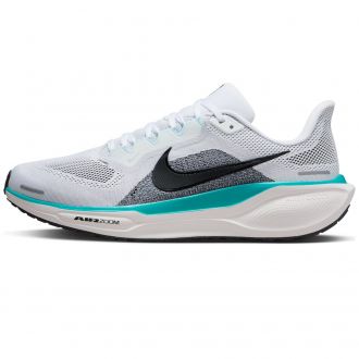 Air zoom pegasus 41